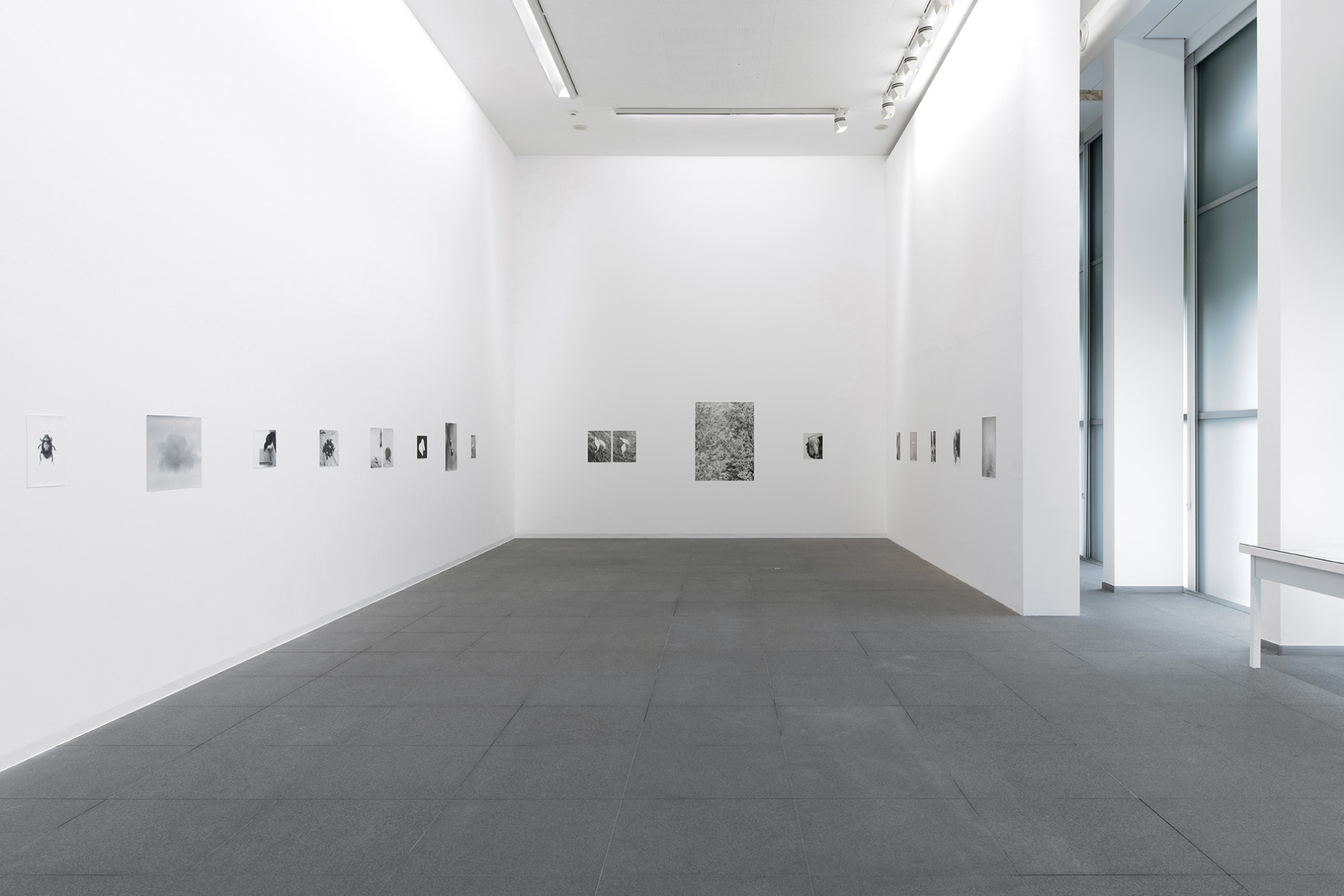 MACS - Exposition - Jochen Lempert